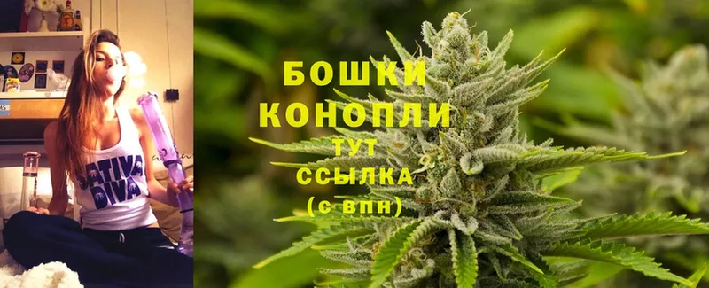 Марихуана White Widow  наркота  Кушва 